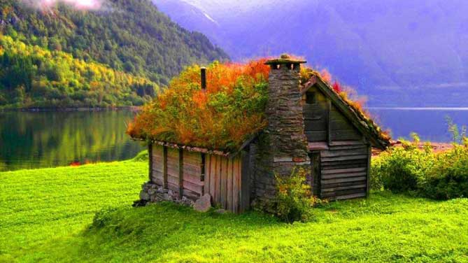 Green roof in Norway